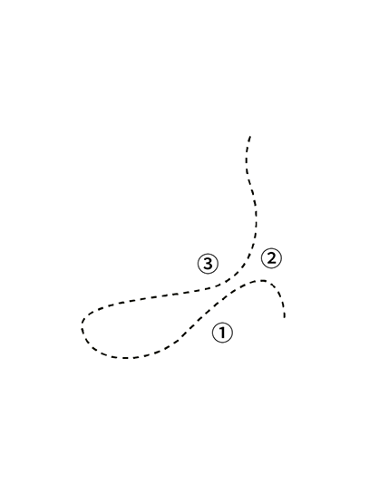 鸭的历史 <br /> 《中国动物志》第二卷鸟纲雁形目中提出了家鸭是由绿头鸭和斑嘴鸭驯化而来的结论