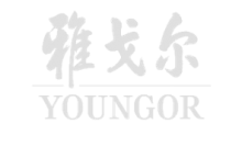 匈牙利白鹅绒（商品鹅）