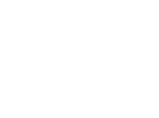 波兰拉尼亚白鸭绒