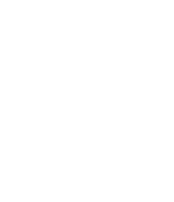 三花白鹅绒
